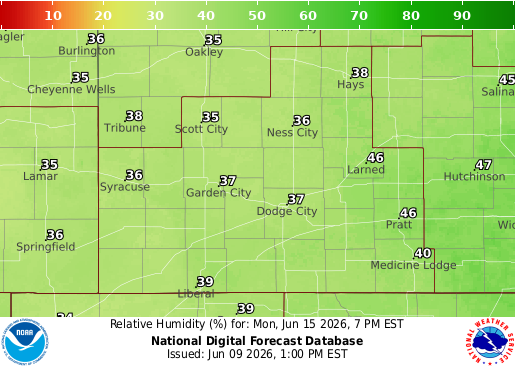 National Digital Forecast Database Image