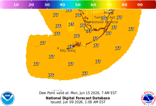 National Digital Forecast Database Image