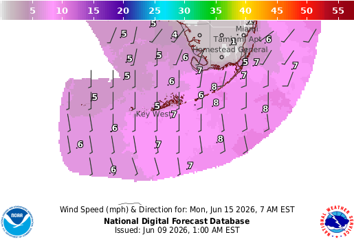 National Digital Forecast Database Image