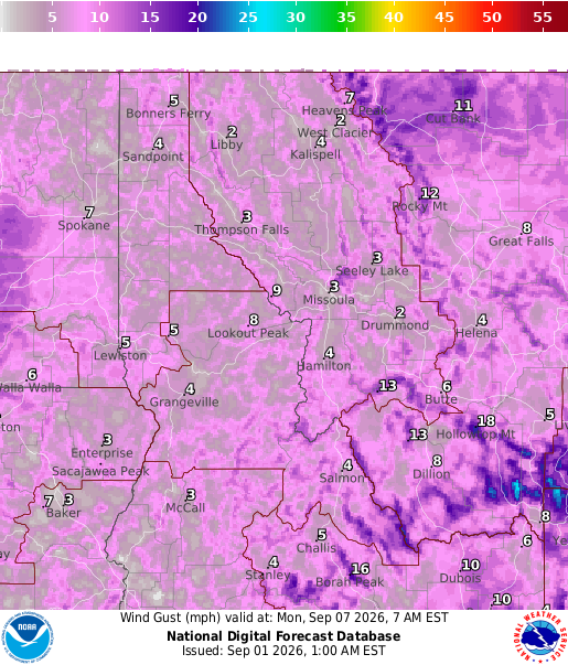 National Digital Forecast Database Image