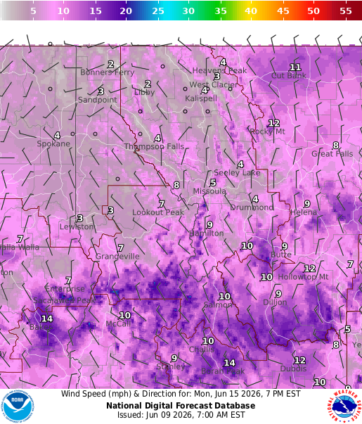 National Digital Forecast Database Image