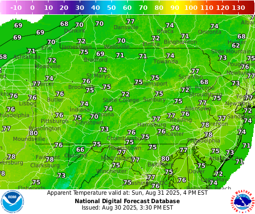 Next 24 Hrs Temperature