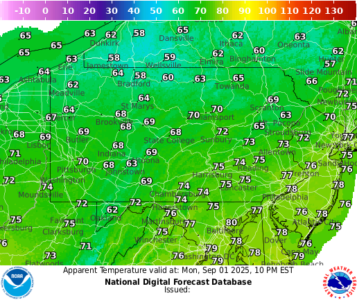 Next 36 Hrs Temperature