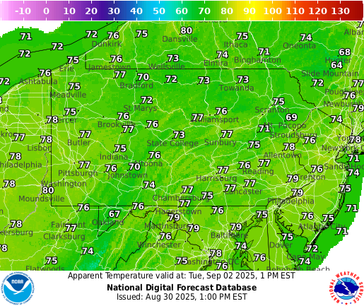 Next 48 Hrs Temperature