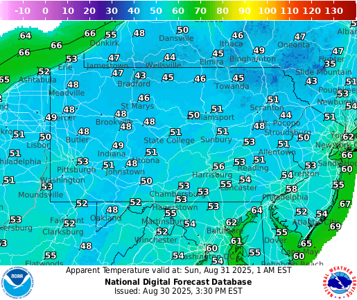 Next 12 Hrs Temperature