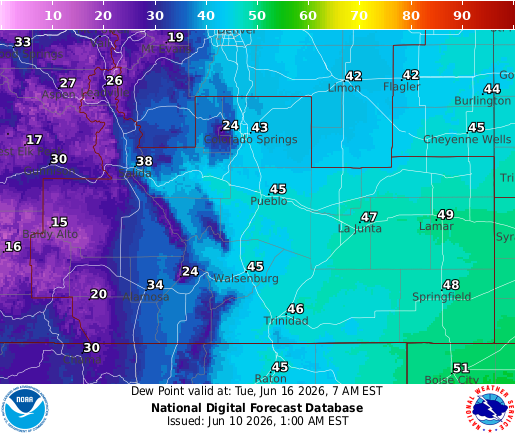 National Digital Forecast Database Image