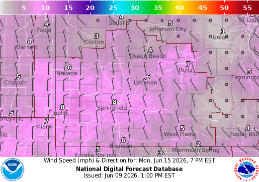 National Digital Forecast Database Image