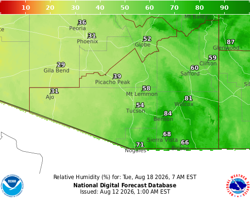 National Digital Forecast Database Image