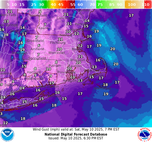National Digital Forecast Database Image