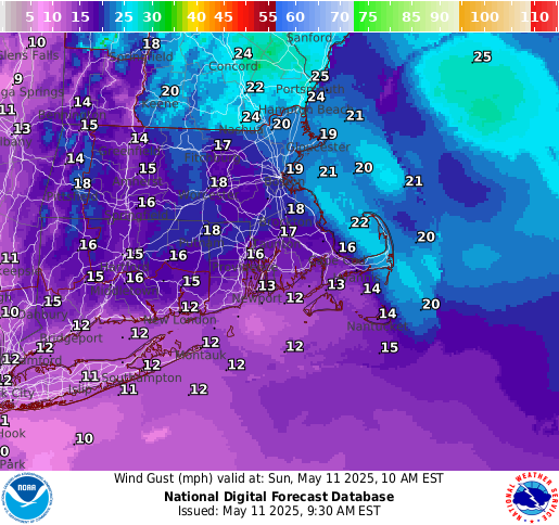 National Digital Forecast Database Image