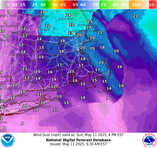 National Digital Forecast Database Image
