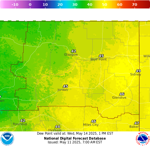 National Digital Forecast Database Image
