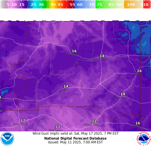 National Digital Forecast Database Image