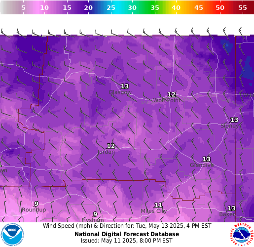 National Digital Forecast Database Image