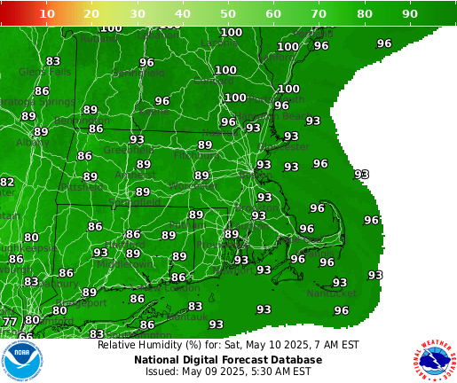 National Digital Forecast Database Image