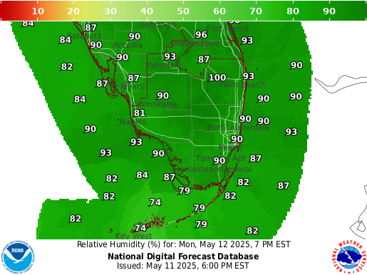 National Digital Forecast Database Image