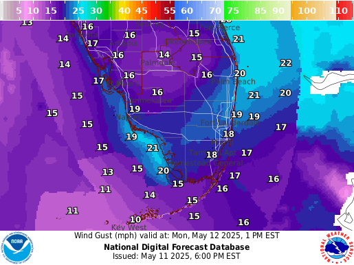 National Digital Forecast Database Image