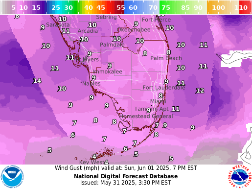 National Digital Forecast Database Image