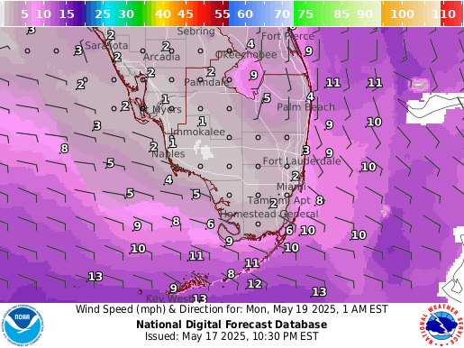 National Digital Forecast Database Image