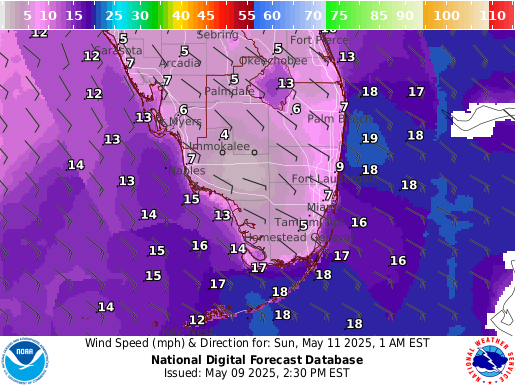 National Digital Forecast Database Image