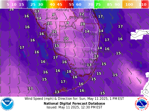 National Digital Forecast Database Image