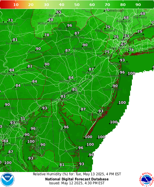National Digital Forecast Database Image