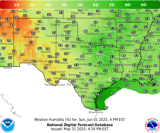 National Digital Forecast Database Image