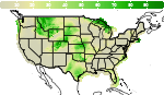 National Probability of Precipitation  Forecast Image